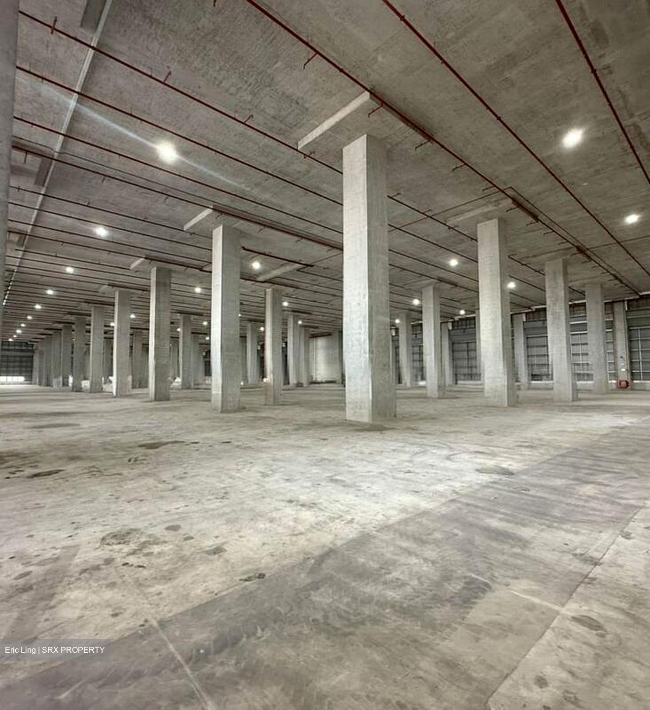 Tic Tech Centre (D5), Warehouse #521036931